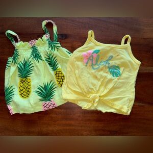 Carters tank bundle 6m